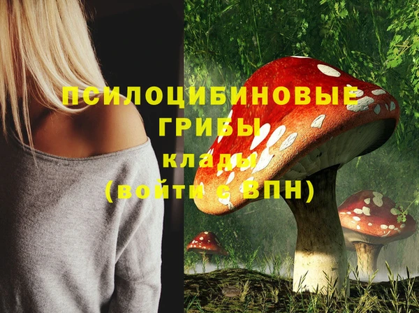 каннабис Алзамай
