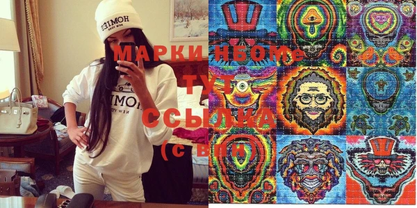 стаф Арсеньев
