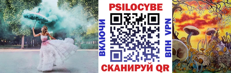 купить наркотик  Ак-Довурак  Псилоцибиновые грибы прущие грибы 